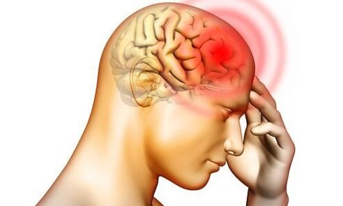 insan beynindeki endoparazitler
