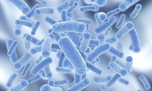 insan vücudundaki bakteriler